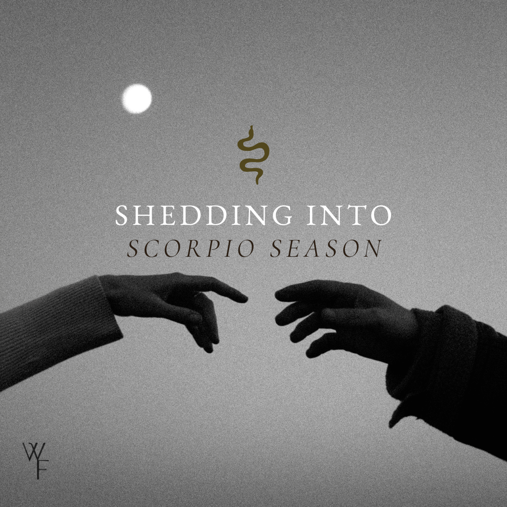 Settling into Scorpio Season