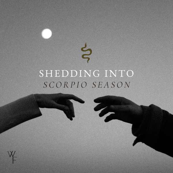 Settling into Scorpio Season