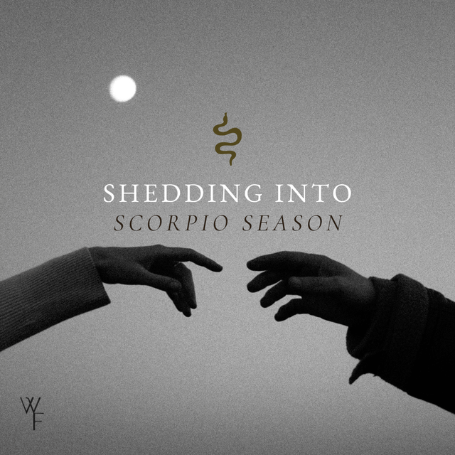 Settling into Scorpio Season